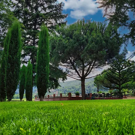 Tenner Hotel Neustadt an der Weinstraße