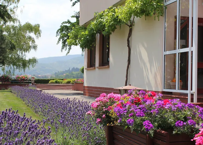 Tenner Hotel Neustadt an der Weinstraße