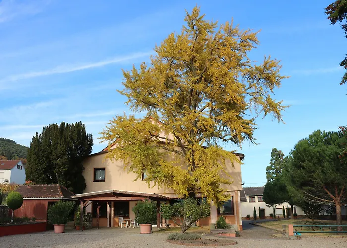 Tenner Neustadt an der Weinstraße