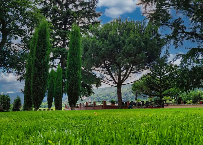 Tenner Hotel Neustadt an der Weinstraße