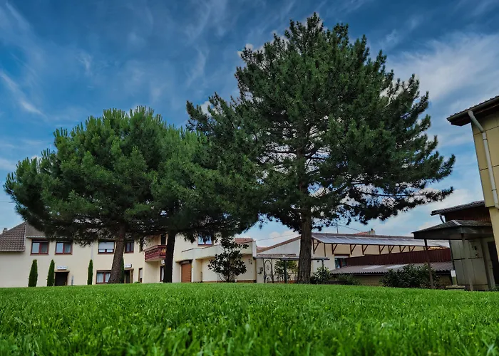 Tenner 3* Neustadt an der Weinstraße